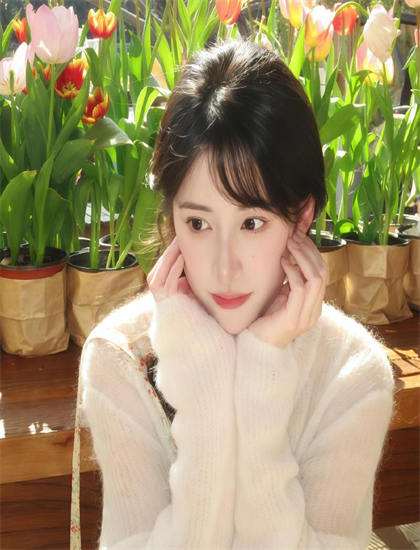 《查莉成长日记圣诞假期》观影前必读指南：背景知识与准备工作，热搜话题